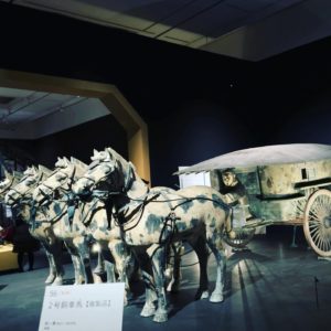 ヨガ教室　古代中国と兵馬俑展